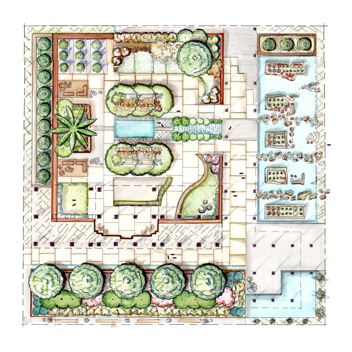 Hand-rendered planting plan in coloured pencil and marker