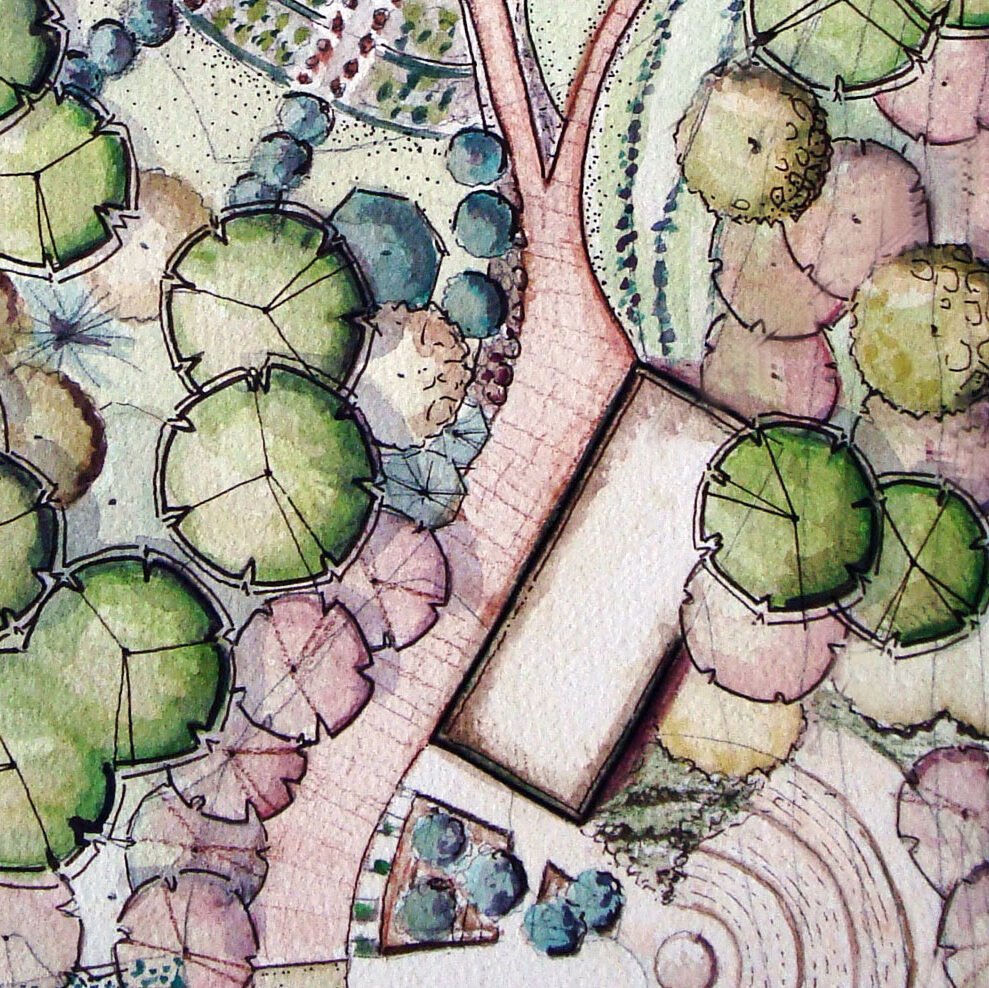 Watercolour planting plan detail with rounded tree canopies in green and pink