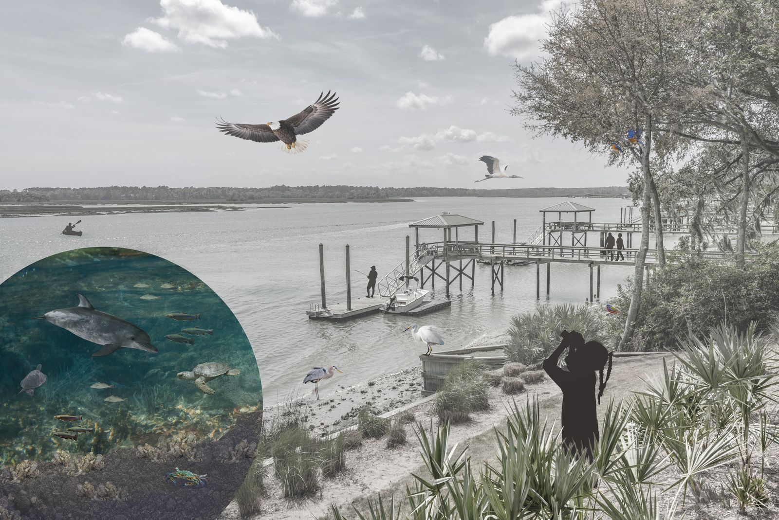 Ecology of the May River edge, full composition