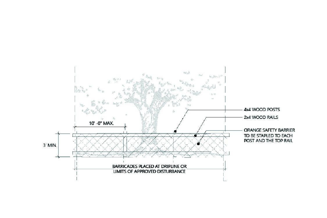 Tree protection